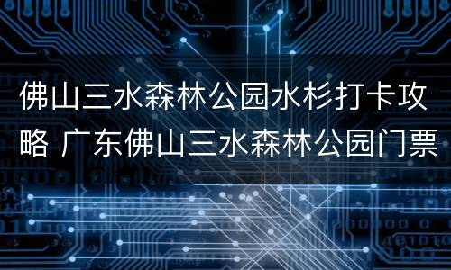 佛山三水森林公园水杉打卡攻略 广东佛山三水森林公园门票多少