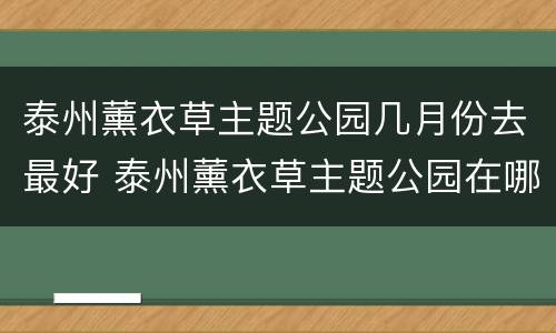 泰州薰衣草主题公园几月份去最好 泰州薰衣草主题公园在哪里