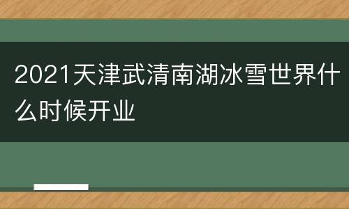 2021天津武清南湖冰雪世界什么时候开业