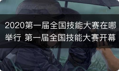 2020第一届全国技能大赛在哪举行 第一届全国技能大赛开幕 新闻