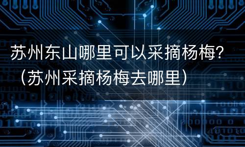 苏州东山哪里可以采摘杨梅？（苏州采摘杨梅去哪里）