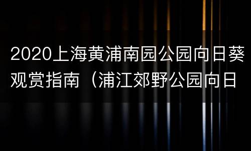 2020上海黄浦南园公园向日葵观赏指南（浦江郊野公园向日葵）