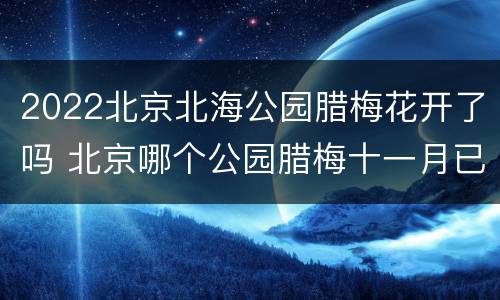 2022北京北海公园腊梅花开了吗 北京哪个公园腊梅十一月已开了