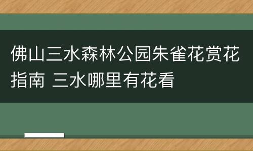 佛山三水森林公园朱雀花赏花指南 三水哪里有花看