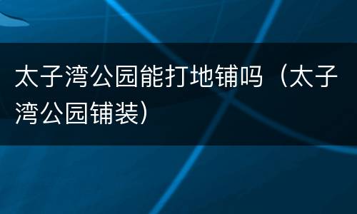 太子湾公园能打地铺吗（太子湾公园铺装）