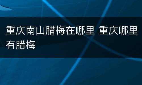 重庆南山腊梅在哪里 重庆哪里有腊梅