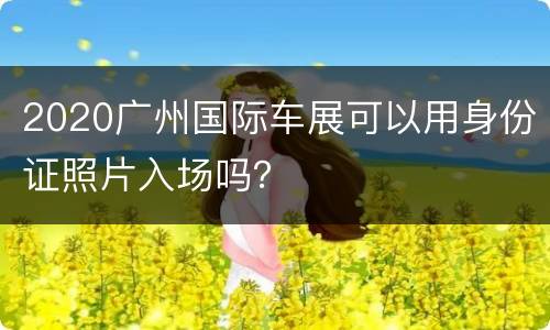 2020广州国际车展可以用身份证照片入场吗？