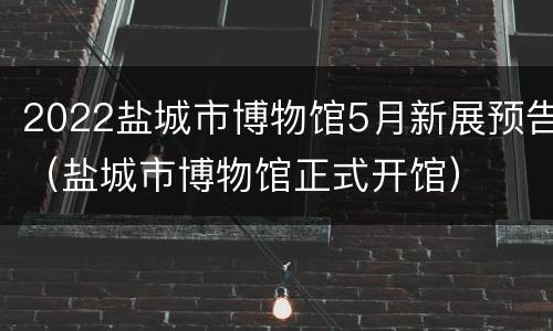 2022盐城市博物馆5月新展预告（盐城市博物馆正式开馆）