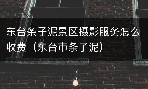 东台条子泥景区摄影服务怎么收费（东台市条子泥）