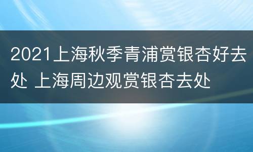 2021上海秋季青浦赏银杏好去处 上海周边观赏银杏去处