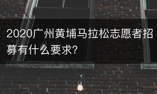2020广州黄埔马拉松志愿者招募有什么要求？
