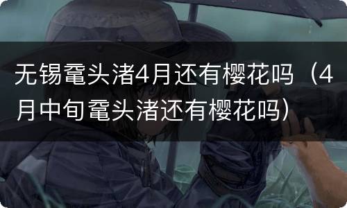 无锡鼋头渚4月还有樱花吗（4月中旬鼋头渚还有樱花吗）
