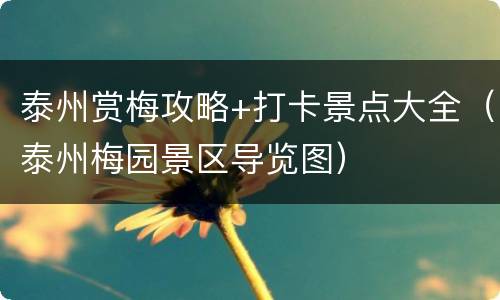 泰州赏梅攻略+打卡景点大全（泰州梅园景区导览图）