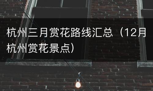 杭州三月赏花路线汇总（12月杭州赏花景点）