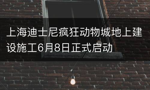 上海迪士尼疯狂动物城地上建设施工6月8日正式启动