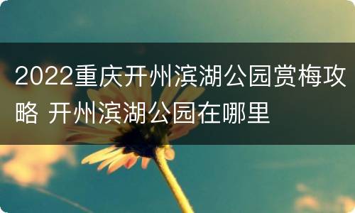 2022重庆开州滨湖公园赏梅攻略 开州滨湖公园在哪里