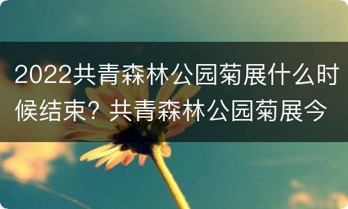 2022共青森林公园菊展什么时候结束? 共青森林公园菊展今年什么时候开展