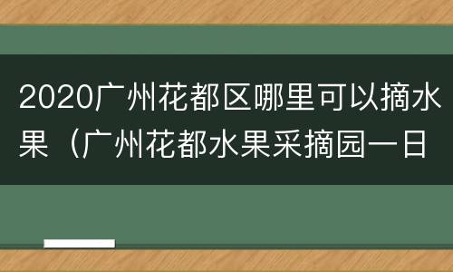 2020广州花都区哪里可以摘水果（广州花都水果采摘园一日游）