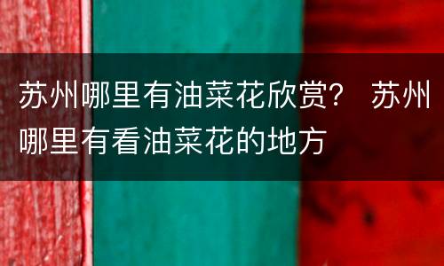 苏州哪里有油菜花欣赏？ 苏州哪里有看油菜花的地方