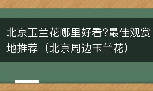 北京玉兰花哪里好看?最佳观赏地推荐（北京周边玉兰花）