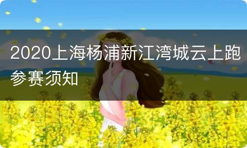 2020上海杨浦新江湾城云上跑参赛须知