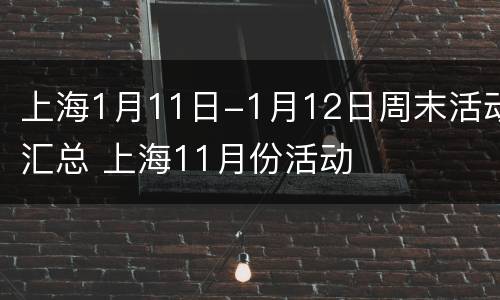 上海1月11日-1月12日周末活动汇总 上海11月份活动