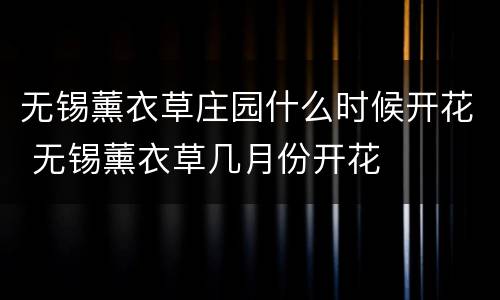 无锡薰衣草庄园什么时候开花 无锡薰衣草几月份开花