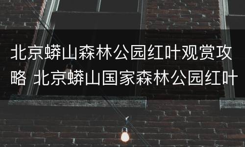 北京蟒山森林公园红叶观赏攻略 北京蟒山国家森林公园红叶