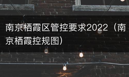 南京栖霞区管控要求2022（南京栖霞控规图）