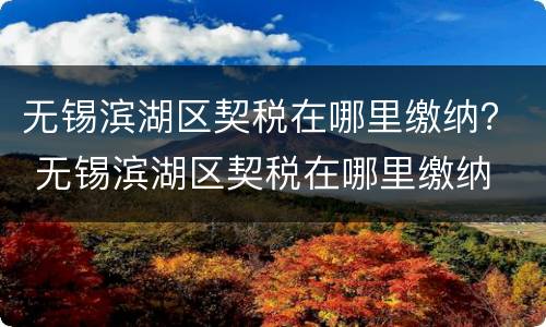 无锡滨湖区契税在哪里缴纳？ 无锡滨湖区契税在哪里缴纳