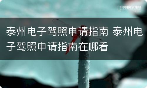 泰州电子驾照申请指南 泰州电子驾照申请指南在哪看