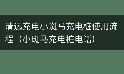 清远充电小斑马充电桩使用流程（小斑马充电桩电话）