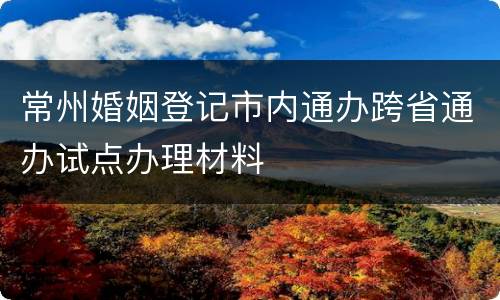 常州婚姻登记市内通办跨省通办试点办理材料