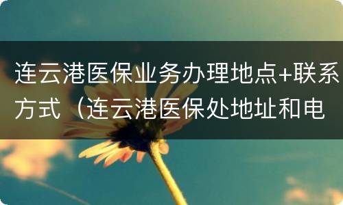 连云港医保业务办理地点+联系方式（连云港医保处地址和电话）