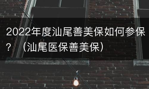 2022年度汕尾善美保如何参保？（汕尾医保善美保）