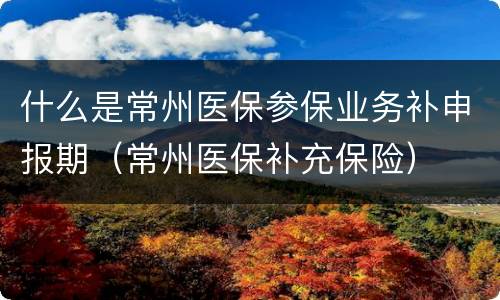 什么是常州医保参保业务补申报期（常州医保补充保险）