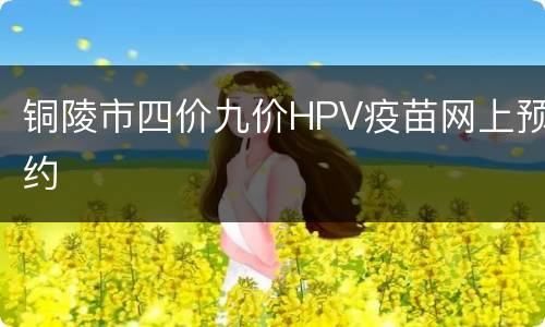 铜陵市四价九价HPV疫苗网上预约