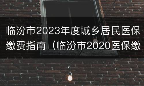 临汾市2023年度城乡居民医保缴费指南（临汾市2020医保缴费查询）