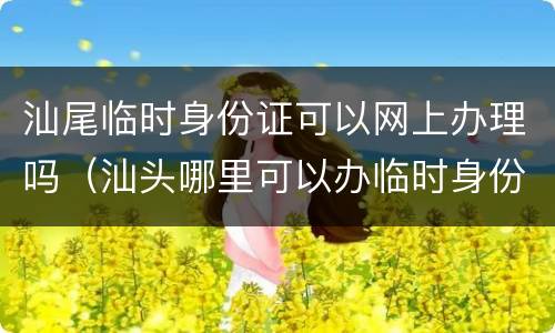 汕尾临时身份证可以网上办理吗（汕头哪里可以办临时身份证）