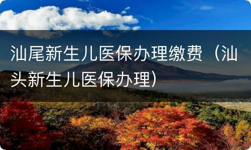 汕尾新生儿医保办理缴费（汕头新生儿医保办理）