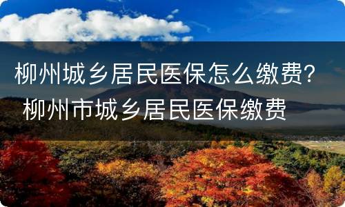 柳州城乡居民医保怎么缴费？ 柳州市城乡居民医保缴费