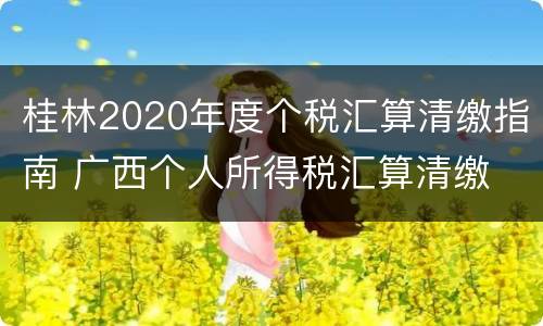 桂林2020年度个税汇算清缴指南 广西个人所得税汇算清缴