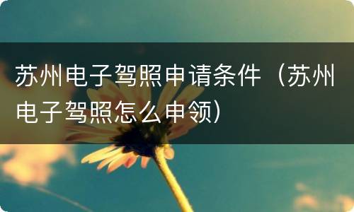 苏州电子驾照申请条件（苏州电子驾照怎么申领）