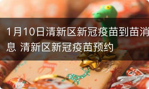 1月10日清新区新冠疫苗到苗消息 清新区新冠疫苗预约