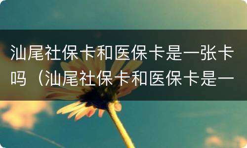 汕尾社保卡和医保卡是一张卡吗（汕尾社保卡和医保卡是一张卡吗）