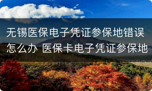 无锡医保电子凭证参保地错误怎么办 医保卡电子凭证参保地不对