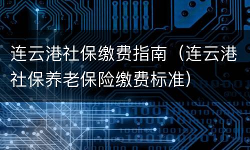 连云港社保缴费指南（连云港社保养老保险缴费标准）