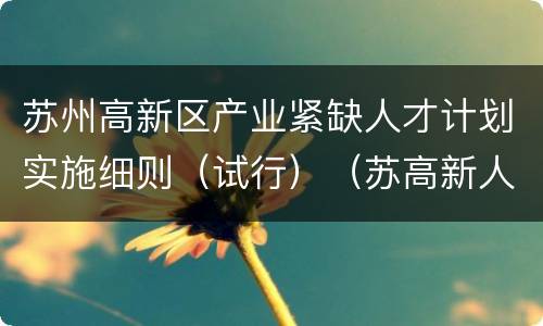 苏州高新区产业紧缺人才计划实施细则（试行）（苏高新人才办〔2017〕16号）