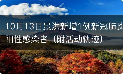 10月13日景洪新增1例新冠肺炎阳性感染者（附活动轨迹）