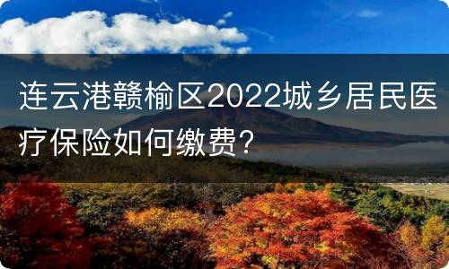 连云港赣榆区2022城乡居民医疗保险如何缴费?